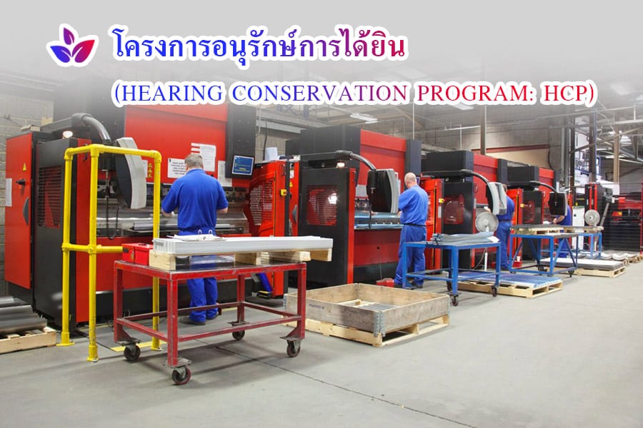Creating a Hearing Conservation Project